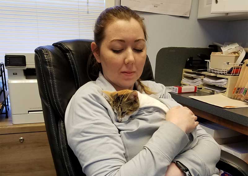 Cat Veterinary Care, Bastrop